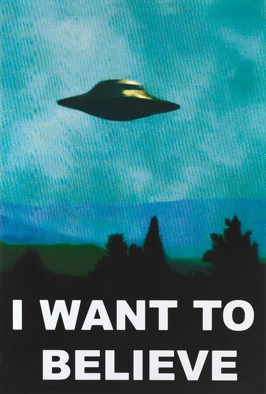 X Files - I Want to Believe Poster