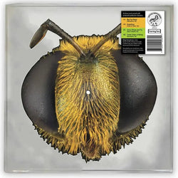 King Gizzard & the Lizard Wizard - Big Fig Wasp LP RSD 2026