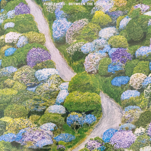 Fiddlehead - Between the Richness LP