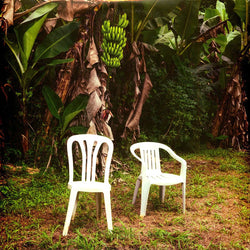 Bad Bunny - Debi Tirar Mas Fotos LP