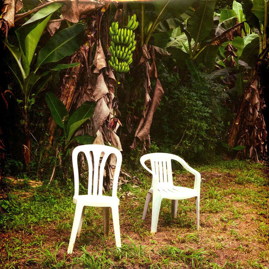 Bad Bunny - Debi Tirar Mas Fotos LP