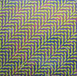 Animal Collective - MerriweatherLP