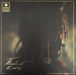 Thundercat - It Is What It Is LP