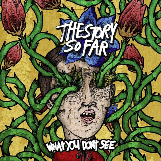 Story So Far - What You Don't See LP