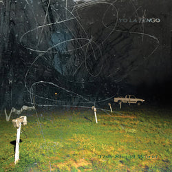 Yo La Tengo - This Stupid World LP