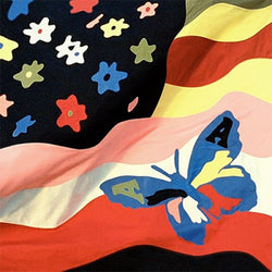 Avalanches - Wildflower LP