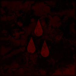 AFI - Blood Album LP*